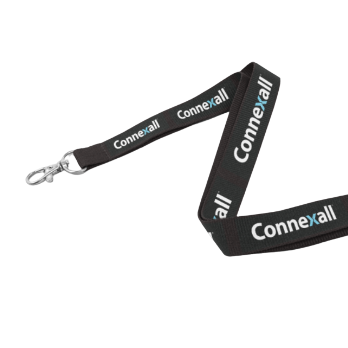 Lanyard