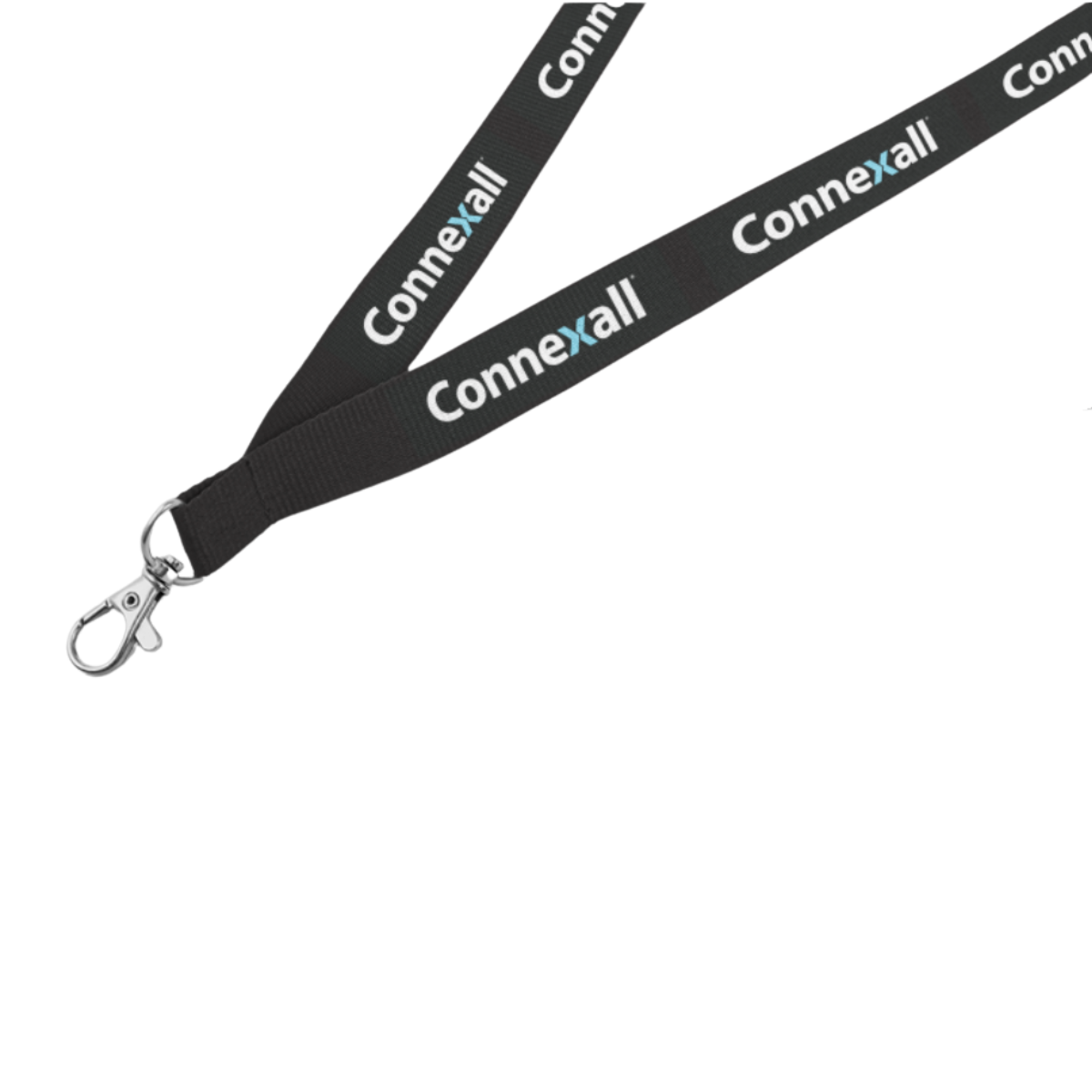 Lanyard